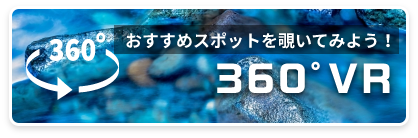 360度VR